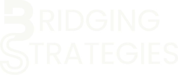 Bridging Strategies Academy