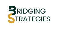 Bridging Strategies Academy